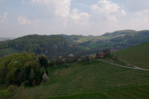 Der Ausblick von der Terrasse führt über den Weingarten Richtung Slowenien. 