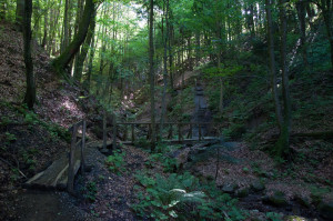 Besonders beeindruckend ist die Wanderung durch die Altenbachklamm in Oberhaag.