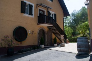 Am Weingut Tauss in Schloßberg reift der wein ausschließlich in Holzfässern. 