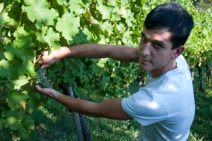 Jungwinzer Jürgen Atschko baut sich seinen eigenen Weinbetrieb auf. Derzeit arbeitet er am Sturm, der beim Aufsteirern in Graz serviert wird. 