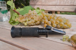 Der Refraktometer misst den Zuckergehalt des Traubensaftes und ist damit das wichtigste Werkzeug des Weinbauern. 