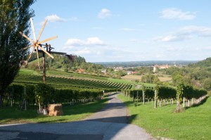 Der Blick über Spielfeld könnte idyllischer nicht sein. 