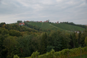 Der Blick über die Weinberge von Sulzthal ist auch bei bewölktem Himmel wunderschön. 