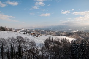 Besonders für romantische Winterspaziergänge ist die südsteirische Weinstraße geeignet. 