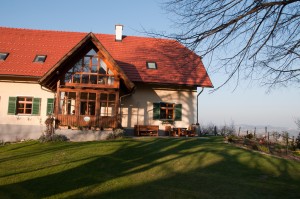 Etwas versteckt am Remschnigg liegt das Weingut Sternat-Lenz. 