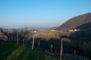 Der Ausblick kann sich sehen lassen. 