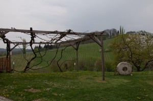 Das Gastgarten ist schön hergerichtet. 