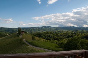 Die perfekte Aussicht über die Weinberge. 