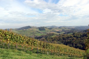 Die tolle Aussicht vom Zoppelberg...