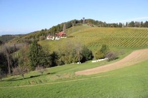 Die Vielfalt der Landschaft