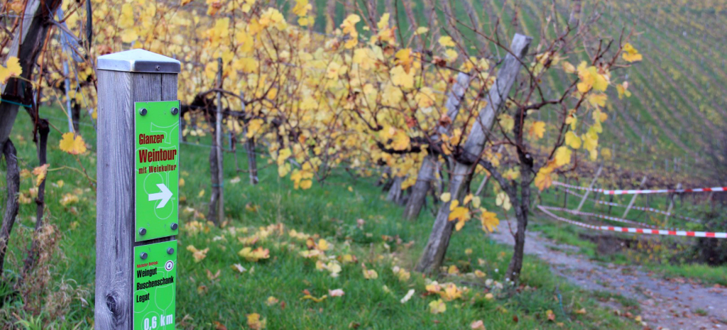 Glanz an der Weinstraße Mein Weinstraßen Tagebuch