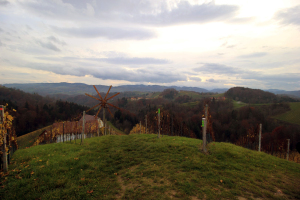 Wunderbarer Aussichtspunkt vorm Weingut Brenner am Rossberg (Foto: Ulrike Elsneg)