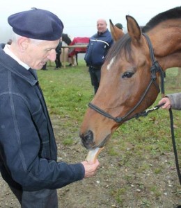 Pferdesegnung, hier mit Pfarrer J. Puntigam (Foto: Ulrike Elsneg)