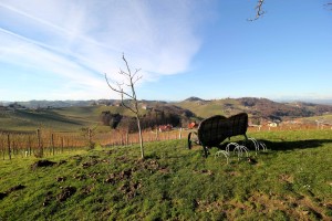 Die wunderbare Aussicht inkl. Steiermark-Herzbankerl