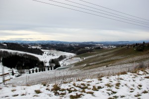 Ausblick von Wielitsch Richtung Norden