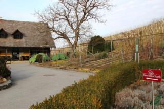 (Foto: Ulrike Elsneg)