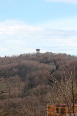 Rebenwanderweg Spielfeld