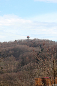 Rebenwanderweg Spielfeld