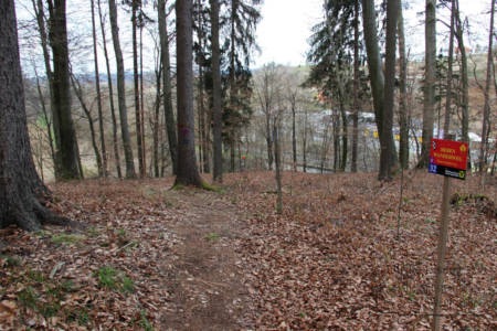 Rebenwanderweg Spielfeld