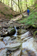 Altenbachklamm Oberhaag (Foto: Ulrike Elsneg)