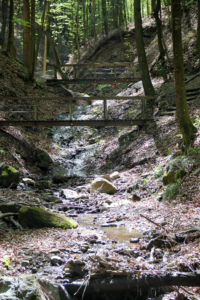 Altenbachklamm Oberhaag (Foto: Ulrike Elsneg)