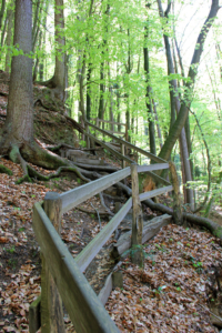 Altenbachklamm Oberhaag (Foto: Ulrike Elsneg)