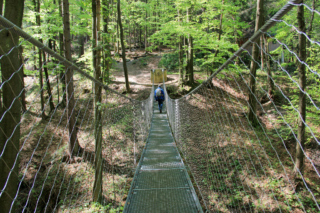 Altenbachklamm Oberhaag (Foto: Ulrike Elsneg)