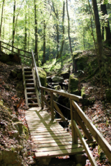 Altenbachklamm Oberhaag (Foto: Ulrike Elsneg)