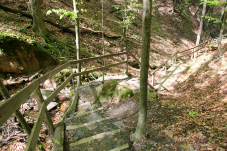 Altenbachklamm Oberhaag (Foto: Ulrike Elsneg)