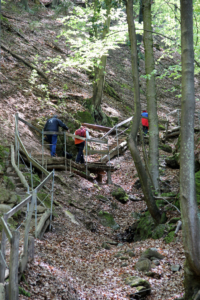 Altenbachklamm Oberhaag (Foto: Ulrike Elsneg)