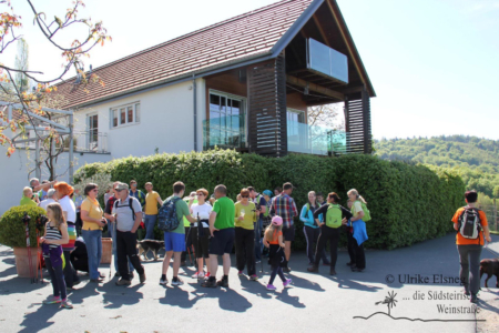 Vinotour Ratsch - Svečina (Foto: Ulrike Elsneg)