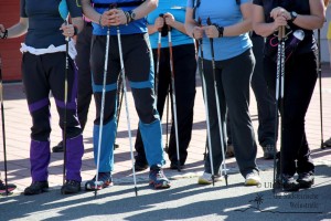 Nordic Walking Vinotour (Foto: Ulrike Elsneg)