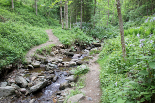 Heiligengeistklamm (Foto: Ulrike Elsneg)