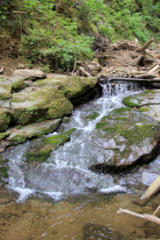 Heiligengeistklamm (Foto: Ulrike Elsneg)