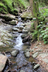 Heiligengeistklamm (Foto: Ulrike Elsneg)