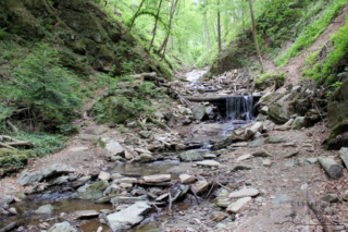 Heiligengeistklamm (Foto: Ulrike Elsneg)