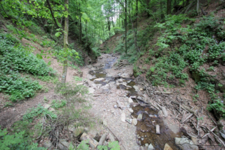 Heiligengeistklamm (Foto: Ulrike Elsneg)