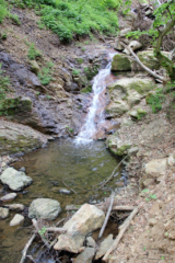 Heiligengeistklamm (Foto: Ulrike Elsneg)