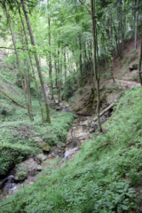 Heiligengeistklamm (Foto: Ulrike Elsneg)