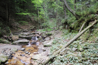 Heiligengeistklamm (Foto: Ulrike Elsneg)