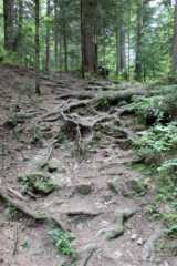 Heiligengeistklamm (Foto: Ulrike Elsneg)