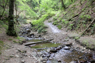 Heiligengeistklamm (Foto: Ulrike Elsneg)