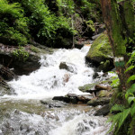 Heiligengeistklamm - Pfingsten (Foto: Ulrike Elsneg)