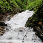 Heiligengeistklamm - Pfingsten (Foto: Ulrike Elsneg)