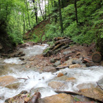 Heiligengeistklamm - Pfingsten (Foto: Ulrike Elsneg)