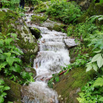 Heiligengeistklamm - Pfingsten (Foto: Ulrike Elsneg)