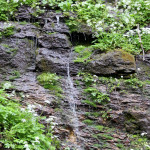 Heiligengeistklamm - Pfingsten (Foto: Ulrike Elsneg)