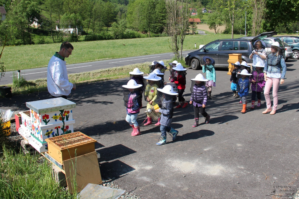 Projekt Bienen Volksschule und Kindergarten Langegg (Foto: Ulrike Elsneg)