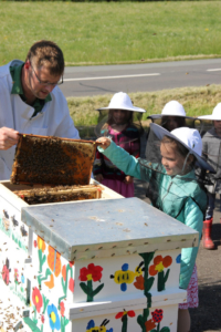 Projekt Bienen Volksschule und Kindergarten Langegg (Foto: Ulrike Elsneg)