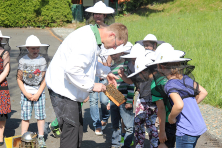 Projekt Bienen Volksschule und Kindergarten Langegg (Foto: Ulrike Elsneg)